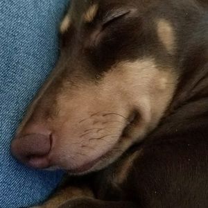 Meet your Posher, Tammy